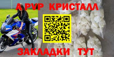 стаф Свободный