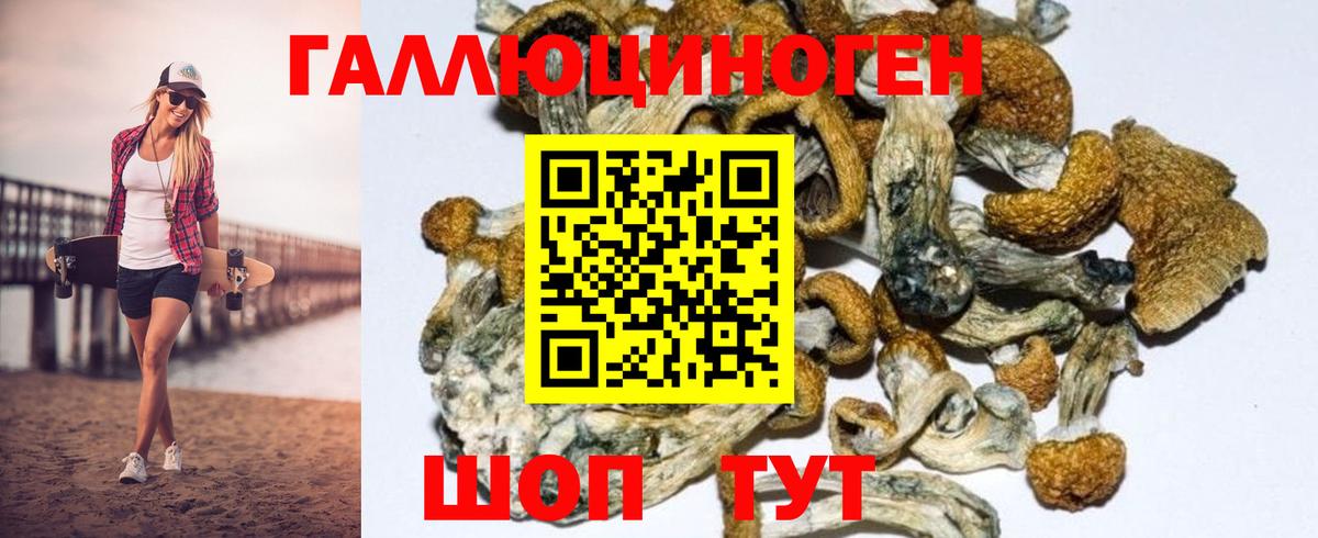 Псилоцибиновые грибы GOLDEN TEACHER  Вход с VPN  Мыски 