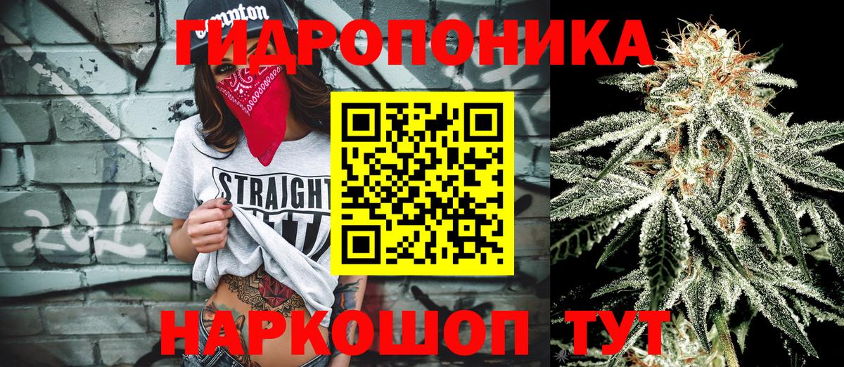 Каннабис Amnesia Мыски